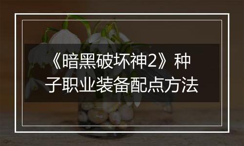 《暗黑破坏神2》种子职业装备配点方法