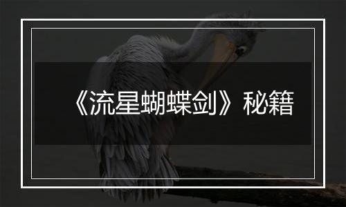 《流星蝴蝶剑》秘籍