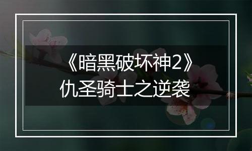 《暗黑破坏神2》仇圣骑士之逆袭