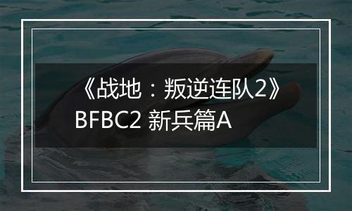 《战地：叛逆连队2》BFBC2 新兵篇A