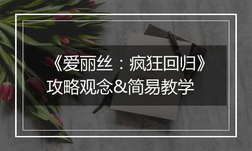 《爱丽丝：疯狂回归》攻略观念&简易教学