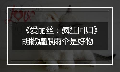 《爱丽丝：疯狂回归》胡椒罐跟雨伞是好物