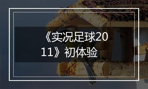 《实况足球2011》初体验