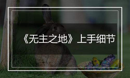 《无主之地》上手细节