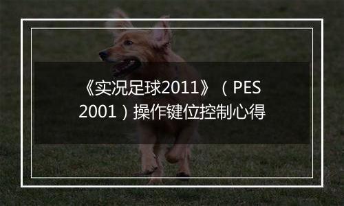 《实况足球2011》（PES2001）操作键位控制心得