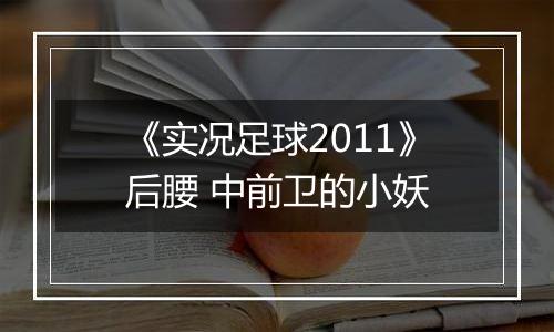 《实况足球2011》后腰 中前卫的小妖