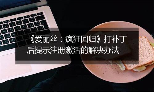 《爱丽丝：疯狂回归》打补丁后提示注册激活的解决办法