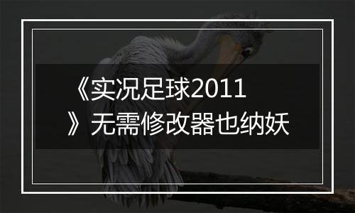 《实况足球2011》无需修改器也纳妖
