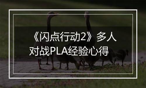 《闪点行动2》多人对战PLA经验心得