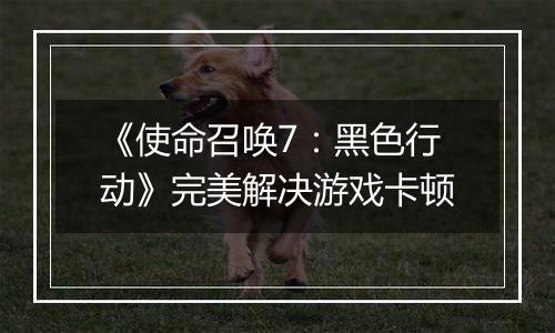 《使命召唤7：黑色行动》完美解决游戏卡顿