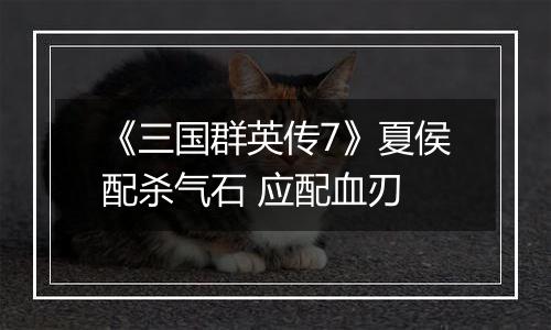 《三国群英传7》夏侯配杀气石 应配血刃