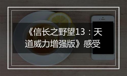 《信长之野望13：天道威力增强版》感受