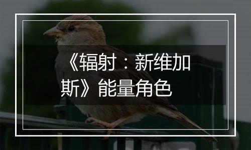 《辐射：新维加斯》能量角色