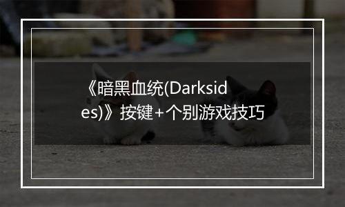《暗黑血统(Darksides)》按键+个别游戏技巧