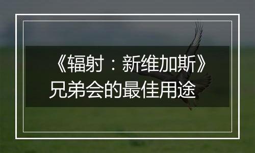 《辐射：新维加斯》兄弟会的最佳用途