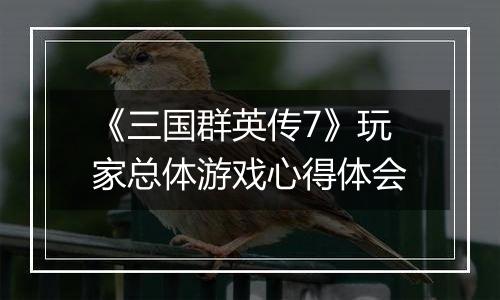 《三国群英传7》玩家总体游戏心得体会