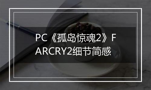 PC《孤岛惊魂2》FARCRY2细节简感