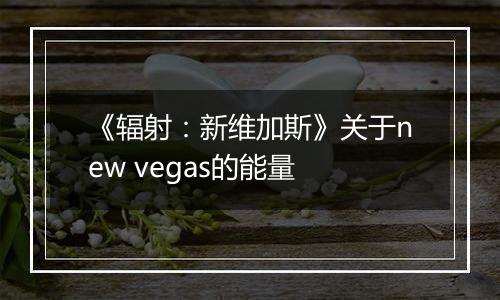 《辐射：新维加斯》关于new vegas的能量