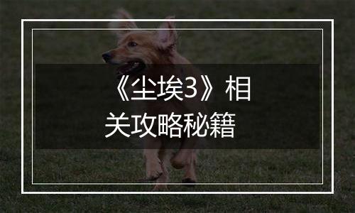 《尘埃3》相关攻略秘籍