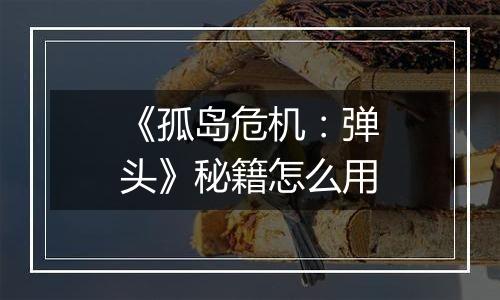 《孤岛危机：弹头》秘籍怎么用