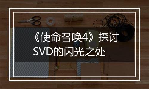 《使命召唤4》探讨 SVD的闪光之处