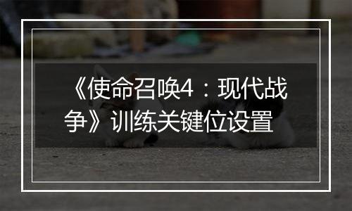 《使命召唤4：现代战争》训练关键位设置