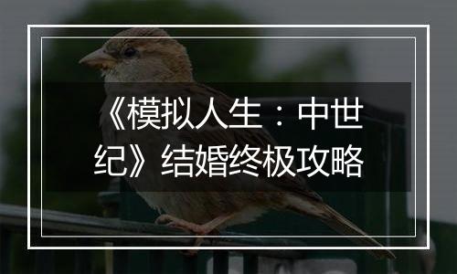 《模拟人生：中世纪》结婚终极攻略