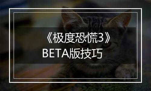 《极度恐慌3》BETA版技巧