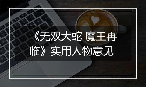 《无双大蛇 魔王再临》实用人物意见