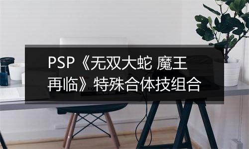 PSP《无双大蛇 魔王再临》特殊合体技组合