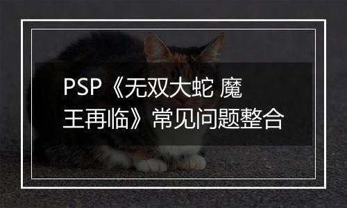 PSP《无双大蛇 魔王再临》常见问题整合