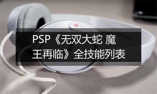 PSP《无双大蛇 魔王再临》全技能列表