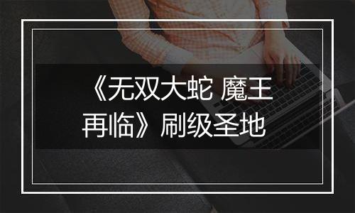 《无双大蛇 魔王再临》刷级圣地