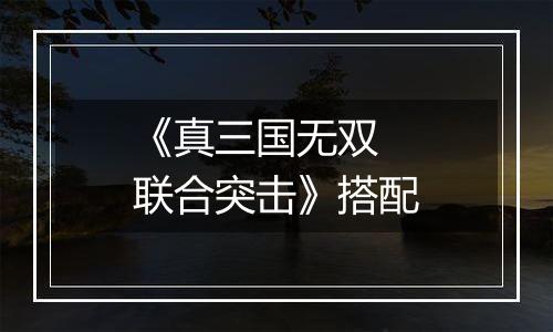 《真三国无双 联合突击》搭配
