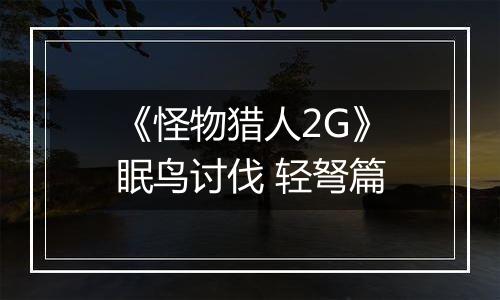 《怪物猎人2G》眠鸟讨伐 轻弩篇