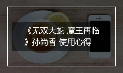 《无双大蛇 魔王再临》孙尚香 使用心得