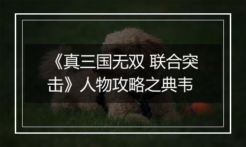 《真三国无双 联合突击》人物攻略之典韦