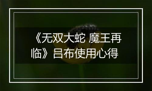 《无双大蛇 魔王再临》吕布使用心得