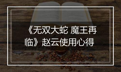 《无双大蛇 魔王再临》赵云使用心得