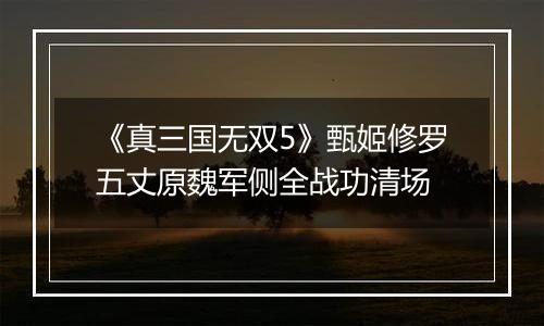 《真三国无双5》甄姬修罗五丈原魏军侧全战功清场