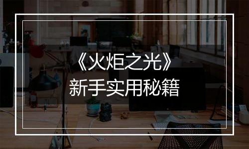 《火炬之光》新手实用秘籍