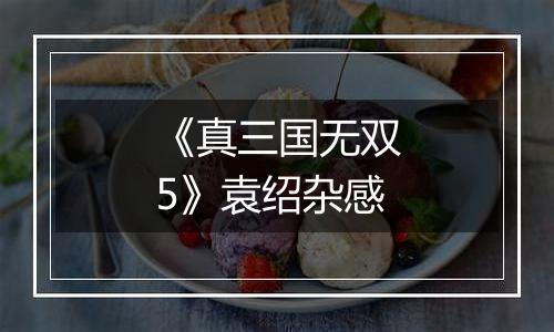 《真三国无双5》袁绍杂感