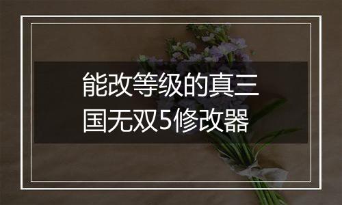 能改等级的真三国无双5修改器