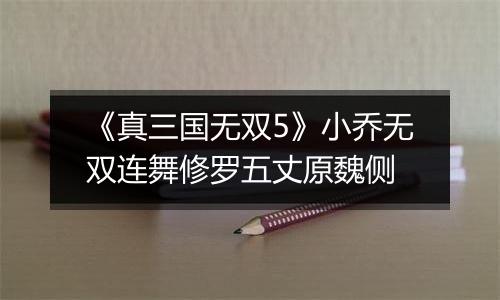 《真三国无双5》小乔无双连舞修罗五丈原魏侧