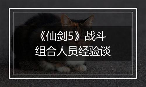 《仙剑5》战斗组合人员经验谈