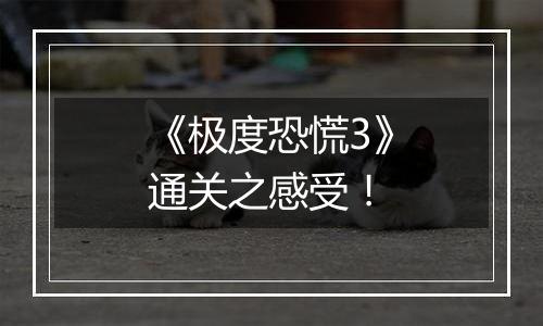 《极度恐慌3》通关之感受！