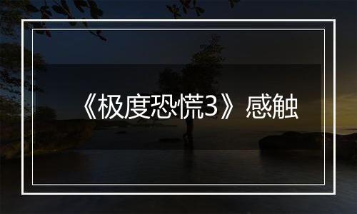 《极度恐慌3》感触