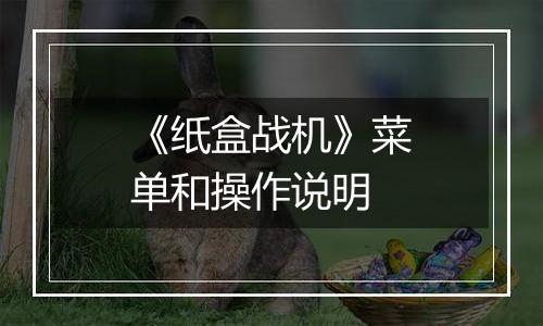 《纸盒战机》菜单和操作说明
