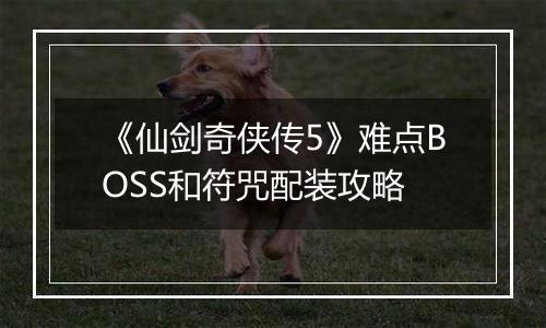 《仙剑奇侠传5》难点BOSS和符咒配装攻略