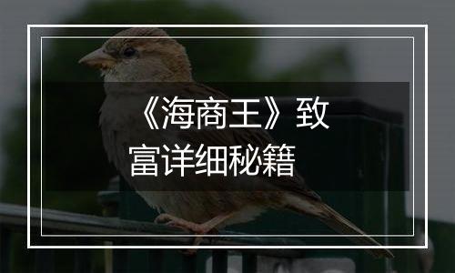 《海商王》致富详细秘籍